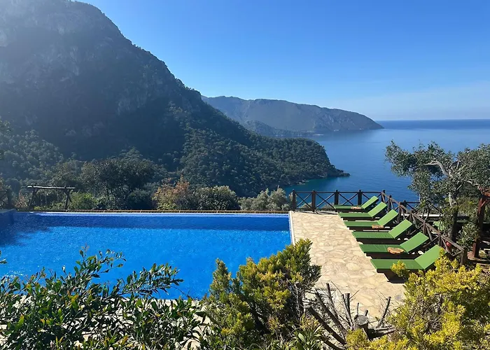 Olive Garden Kabak