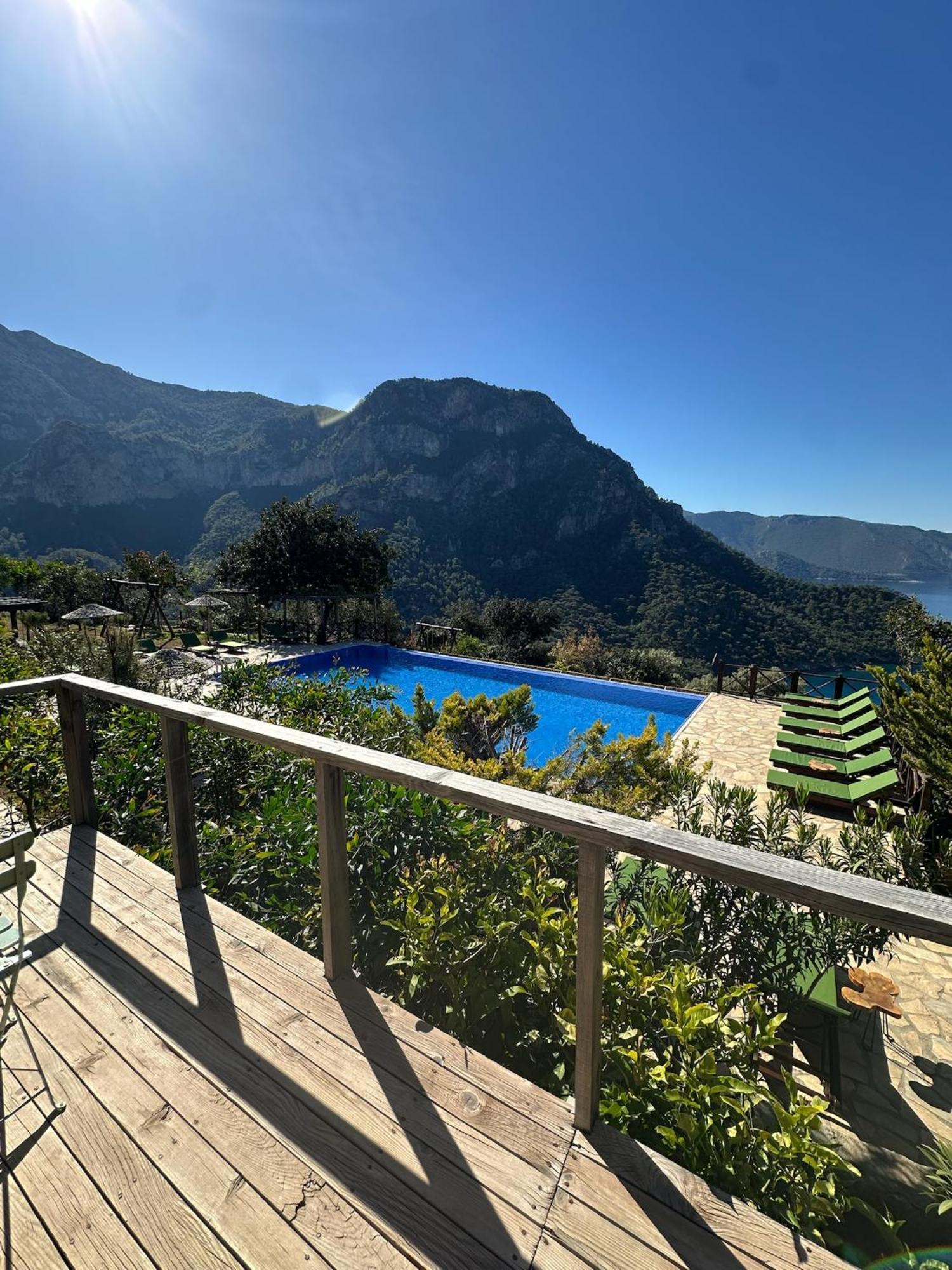 Holiday park Olive Garden Kabak 2*