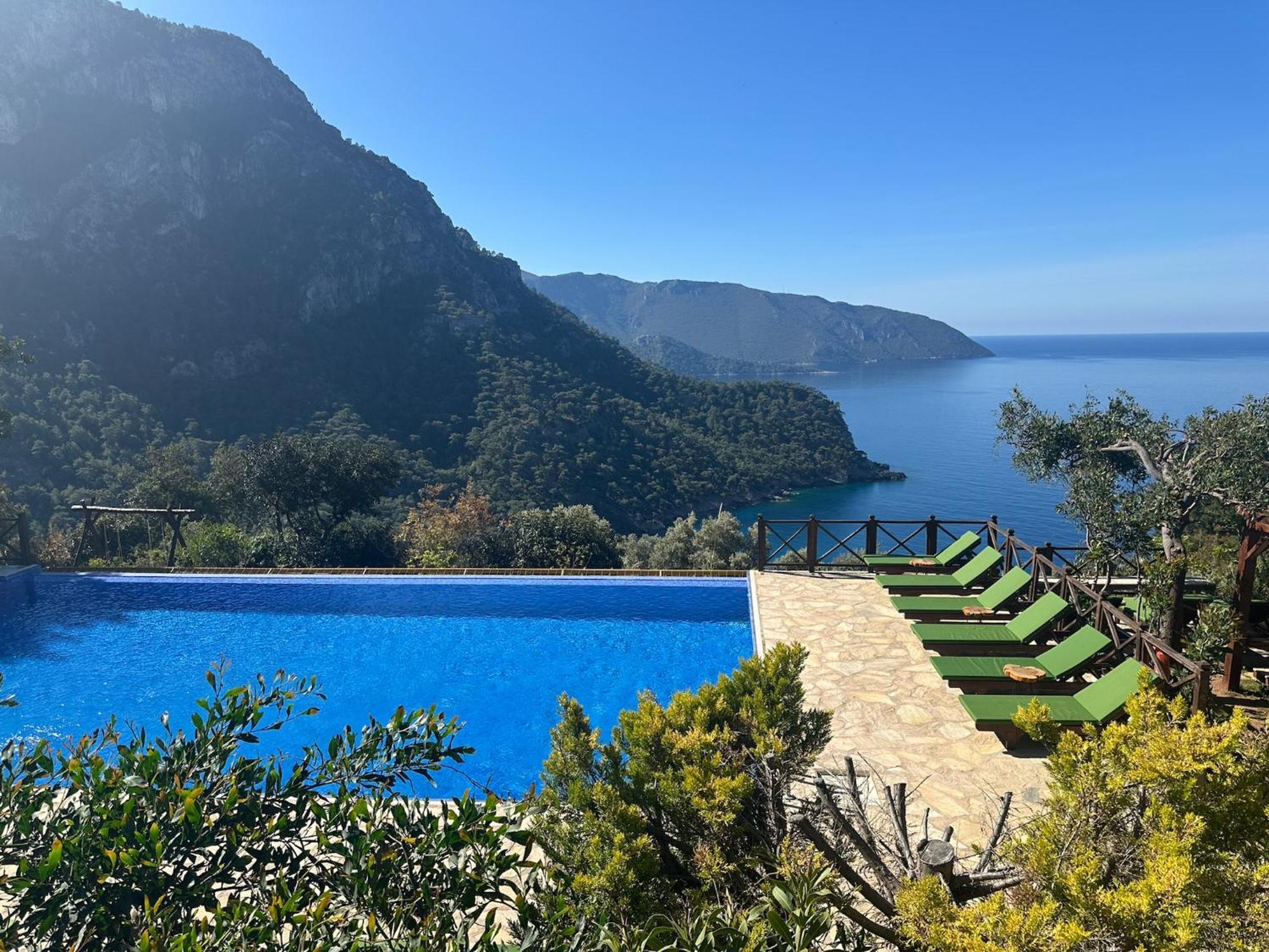 Olive Garden Kabak