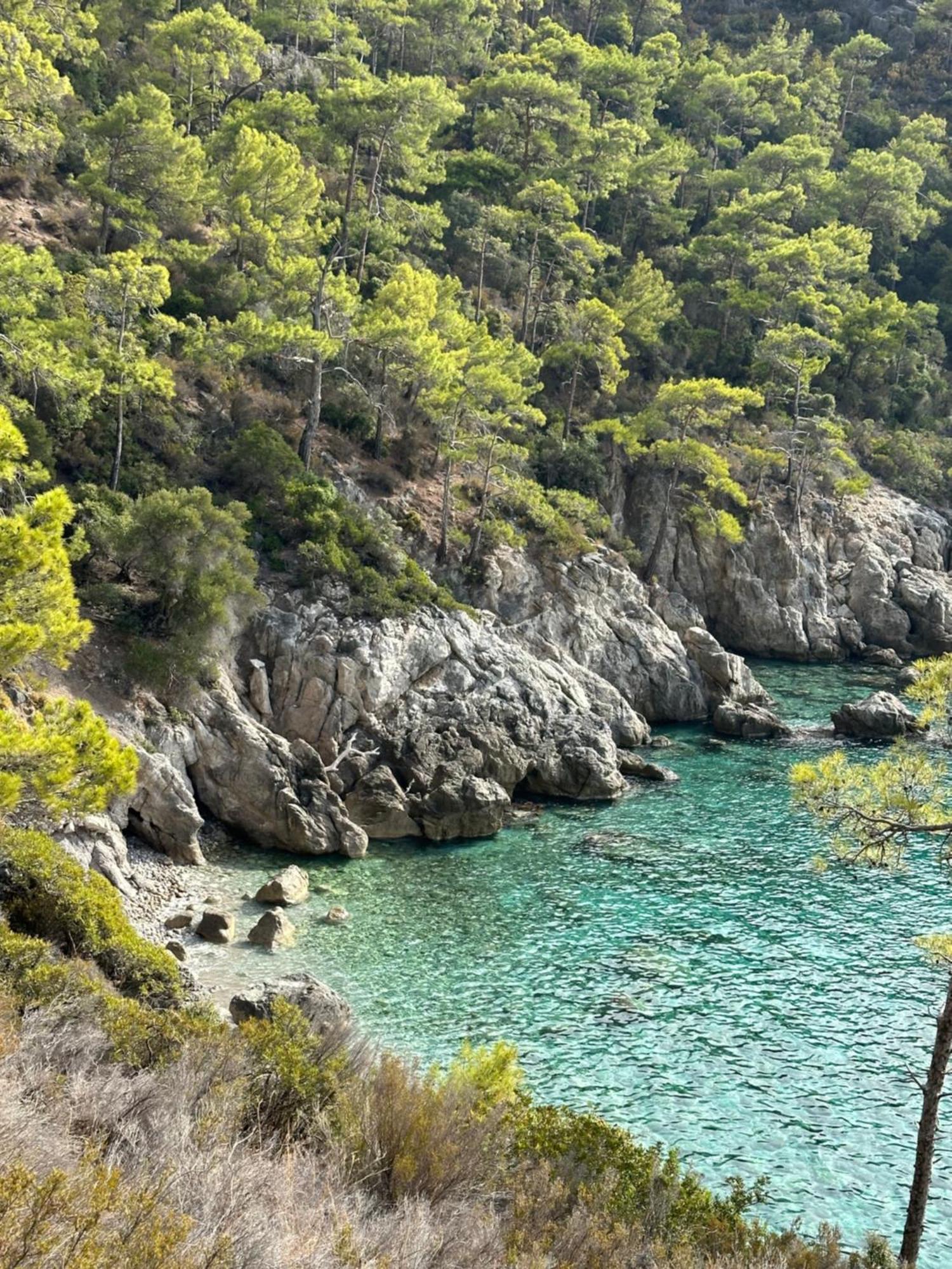Vakantiepark Olive Garden Kabak 2*