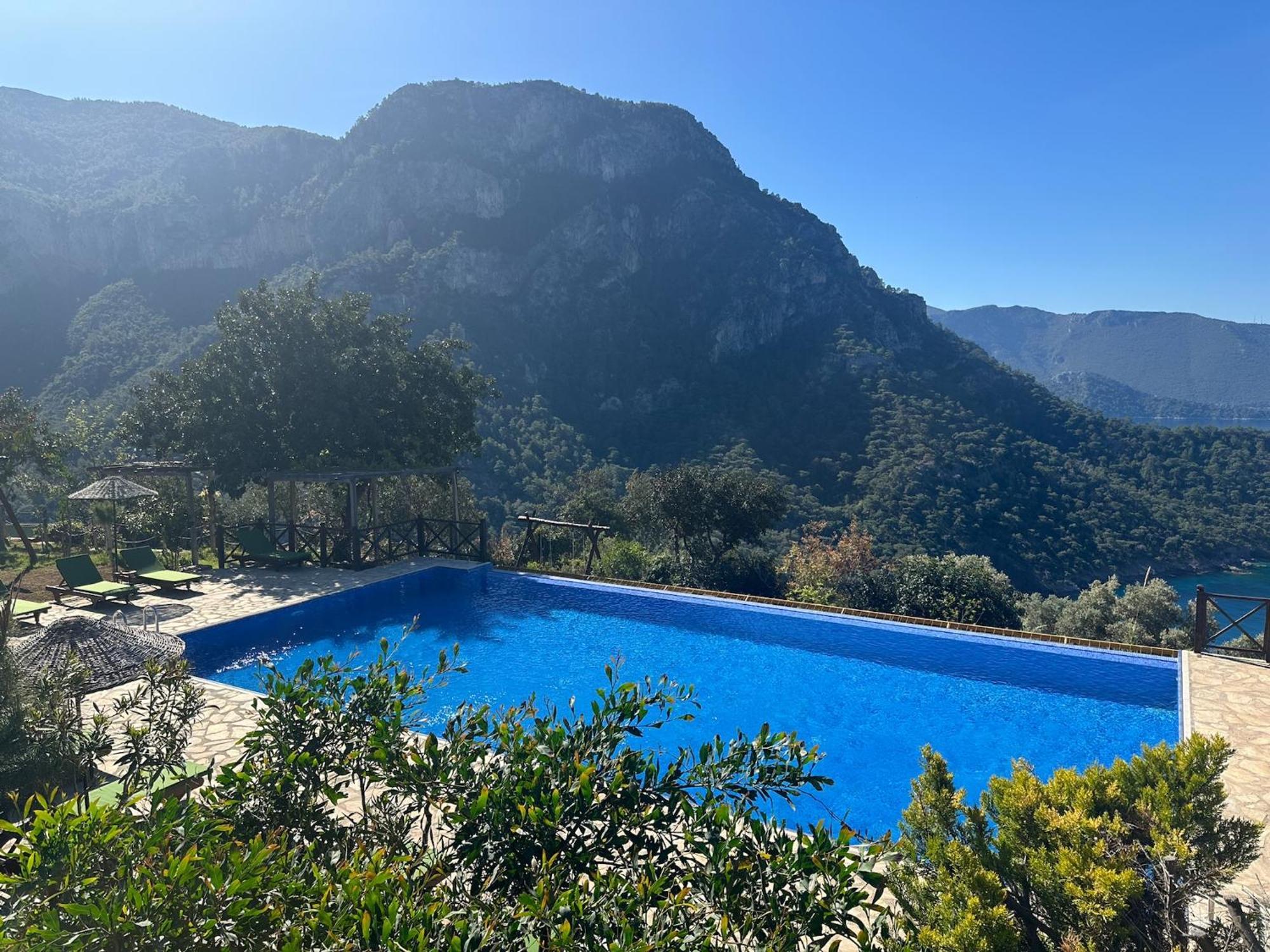 Olive Garden Kabak 2*