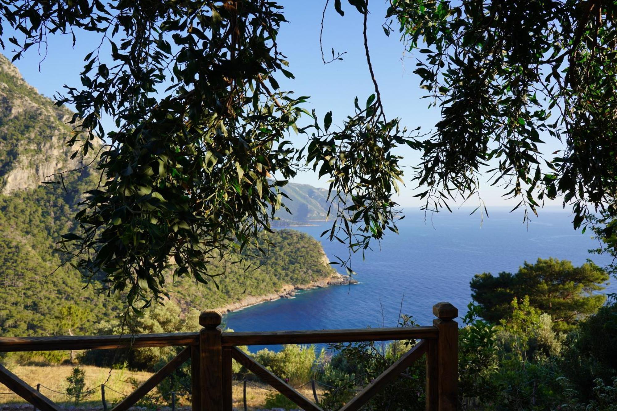 Olive Garden Kabak