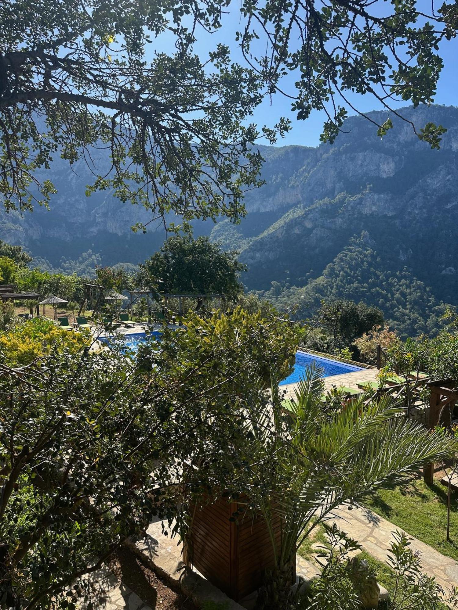 Olive Garden Kabak 2*
