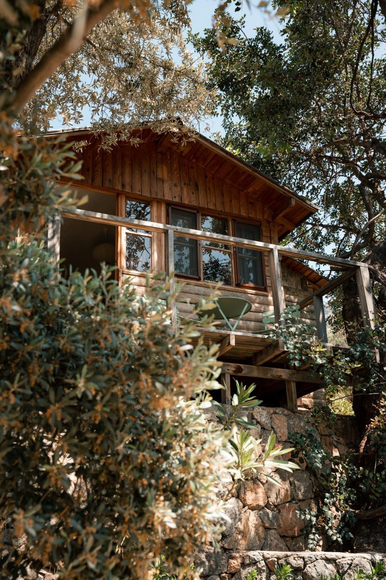Vakantiepark Olive Garden Kabak