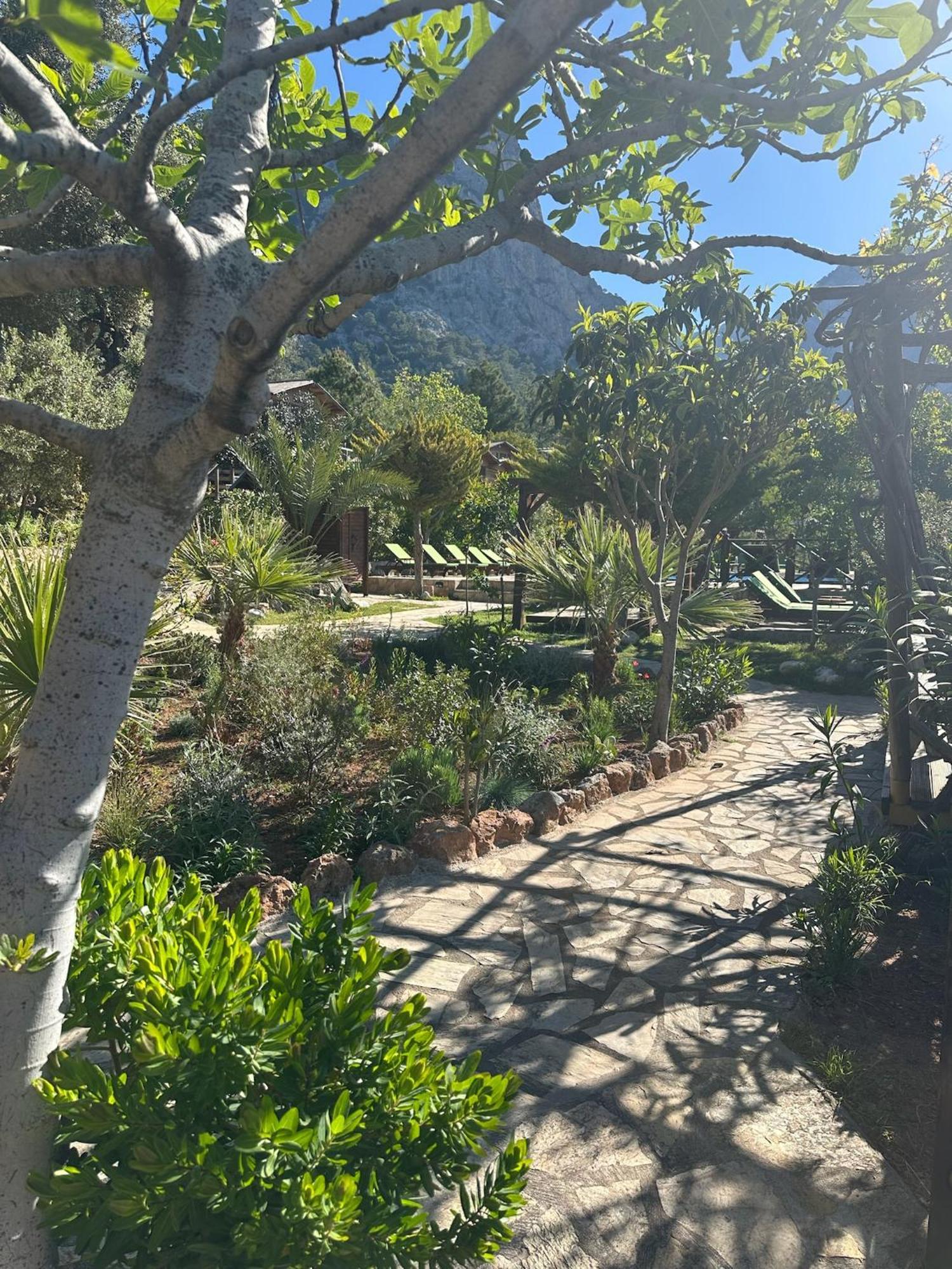 Olive Garden Kabak Vakantiepark 2*