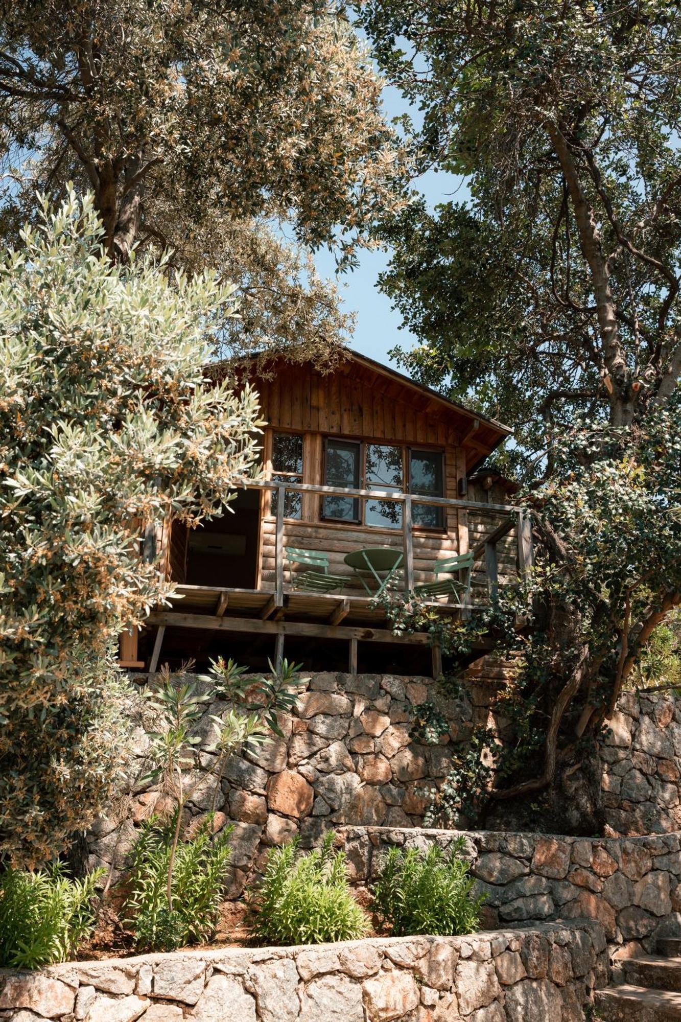 Olive Garden Kabak Holiday park Faralya