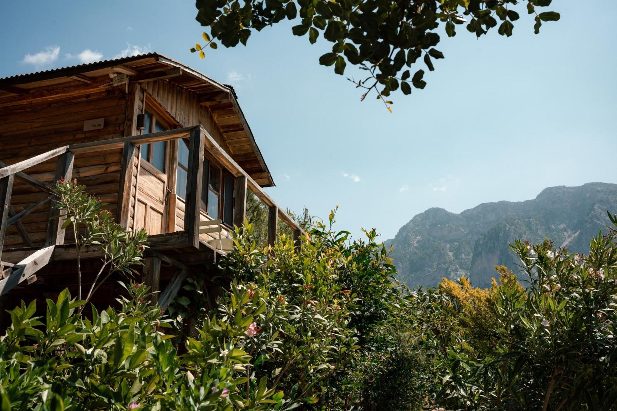 Olive Garden Kabak 2* Faralya