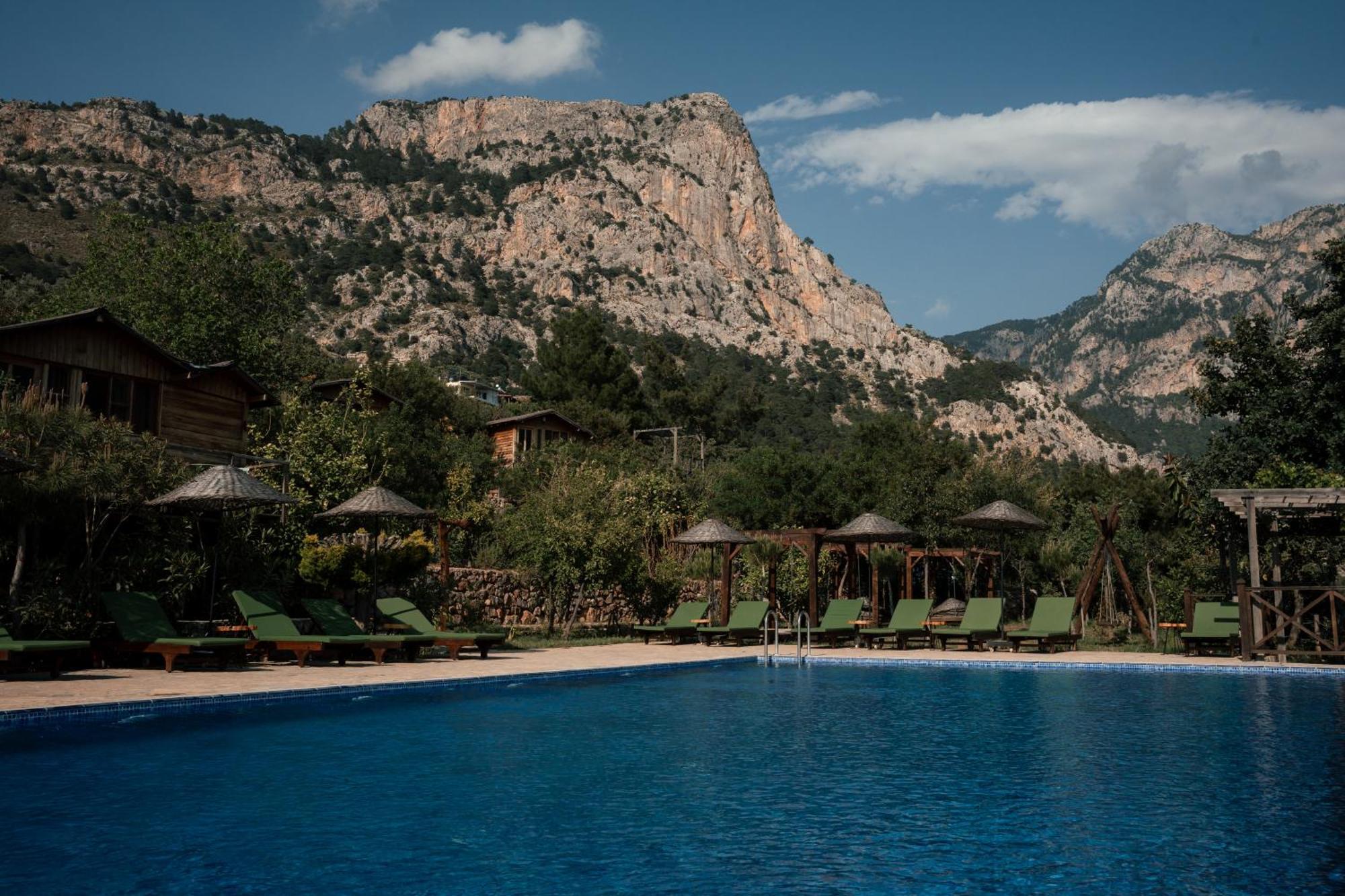 Olive Garden Kabak