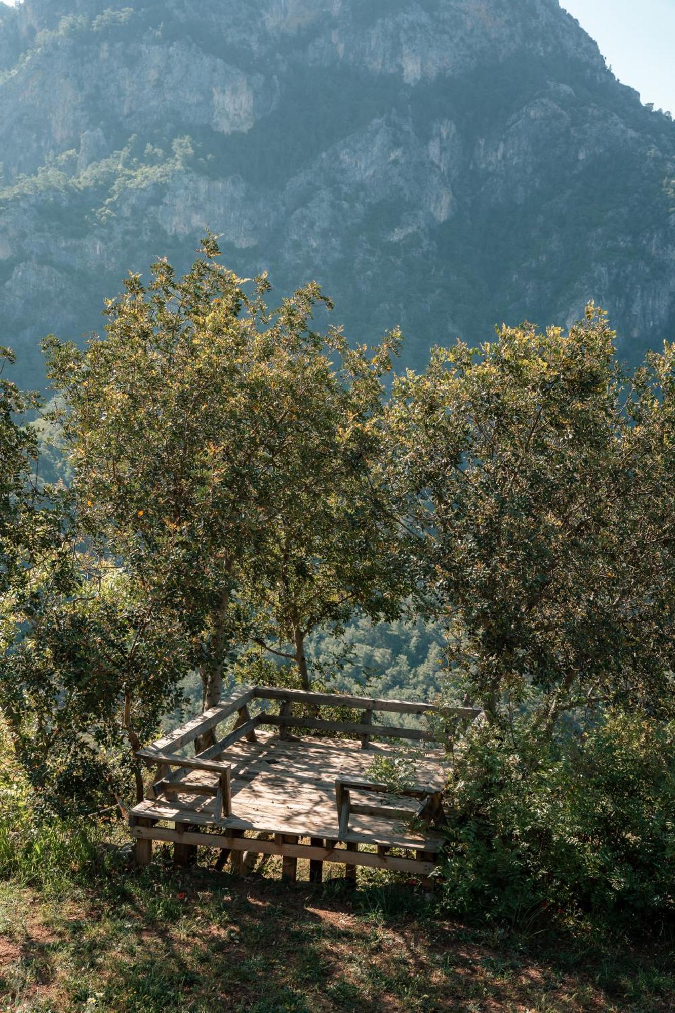 Olive Garden Kabak Holiday park Faralya