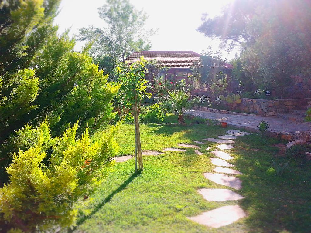 Holiday park Olive Garden Kabak 2*