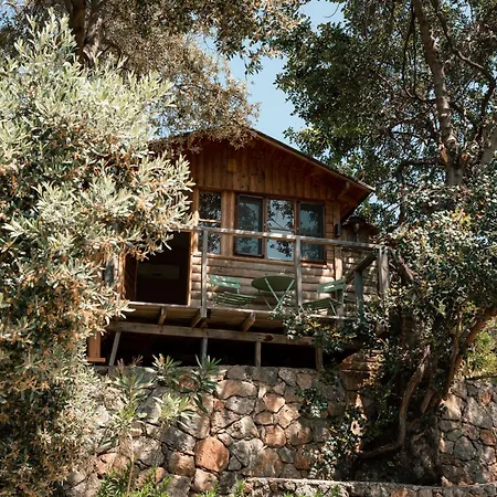 Olive Garden Kabak Hotel Faralya Exterior photo