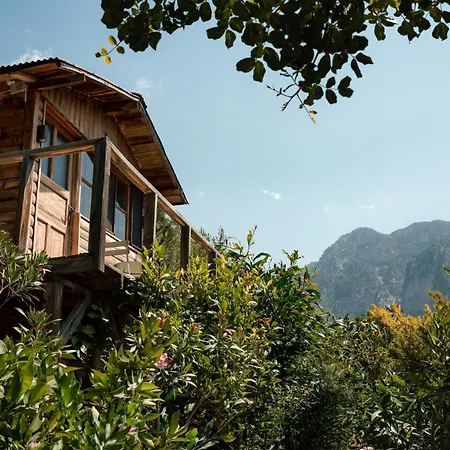 Olive Garden Kabak Hotel Faralya Exterior photo