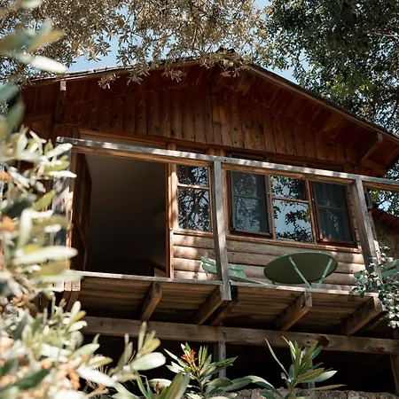 Olive Garden Kabak Hotel Faralya Exterior photo