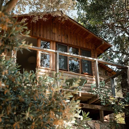 Olive Garden Kabak Hotel Faralya Exterior photo