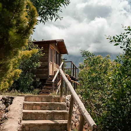 Olive Garden Kabak Hotel Faralya Exterior photo