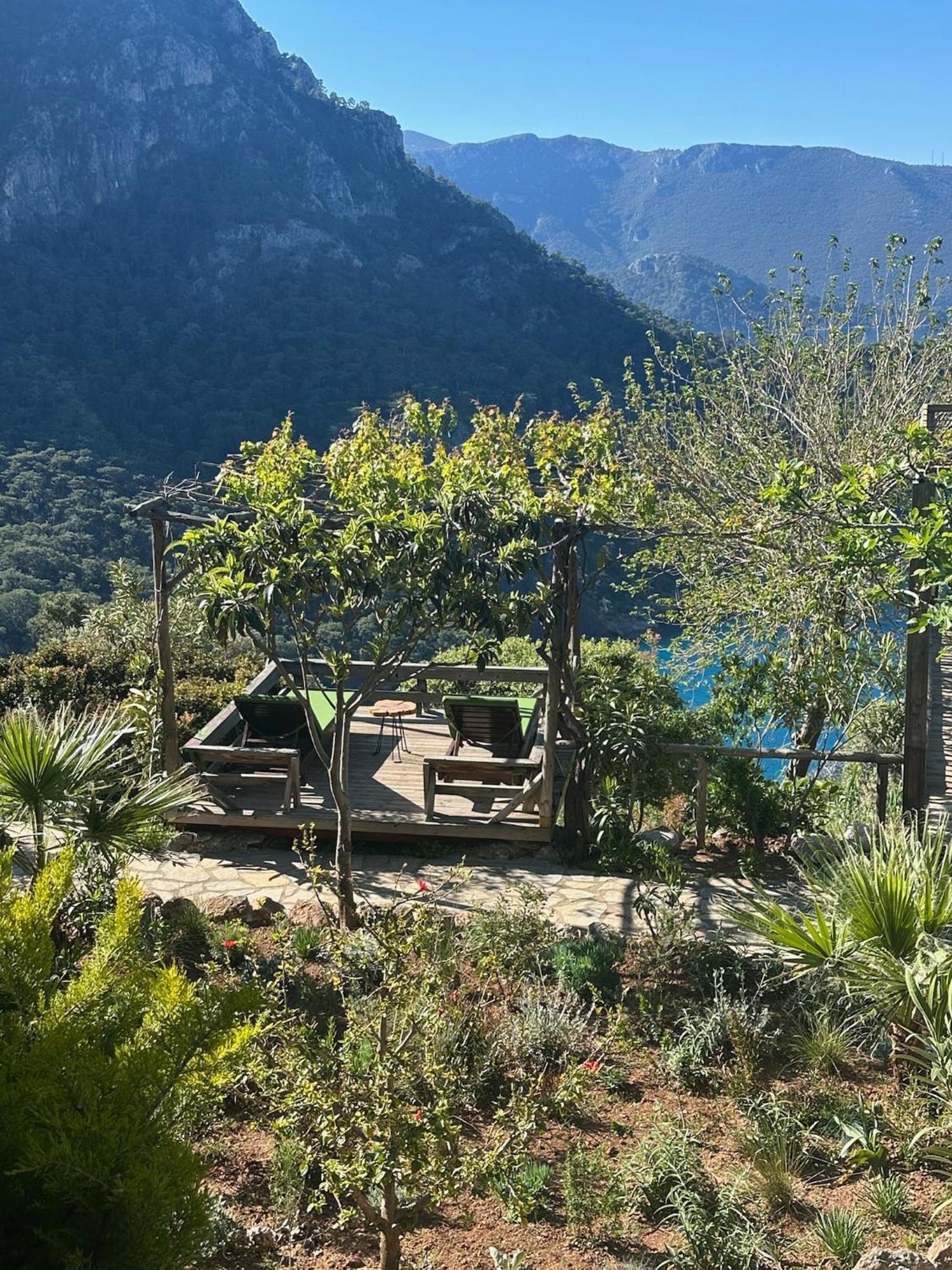 Olive Garden Kabak