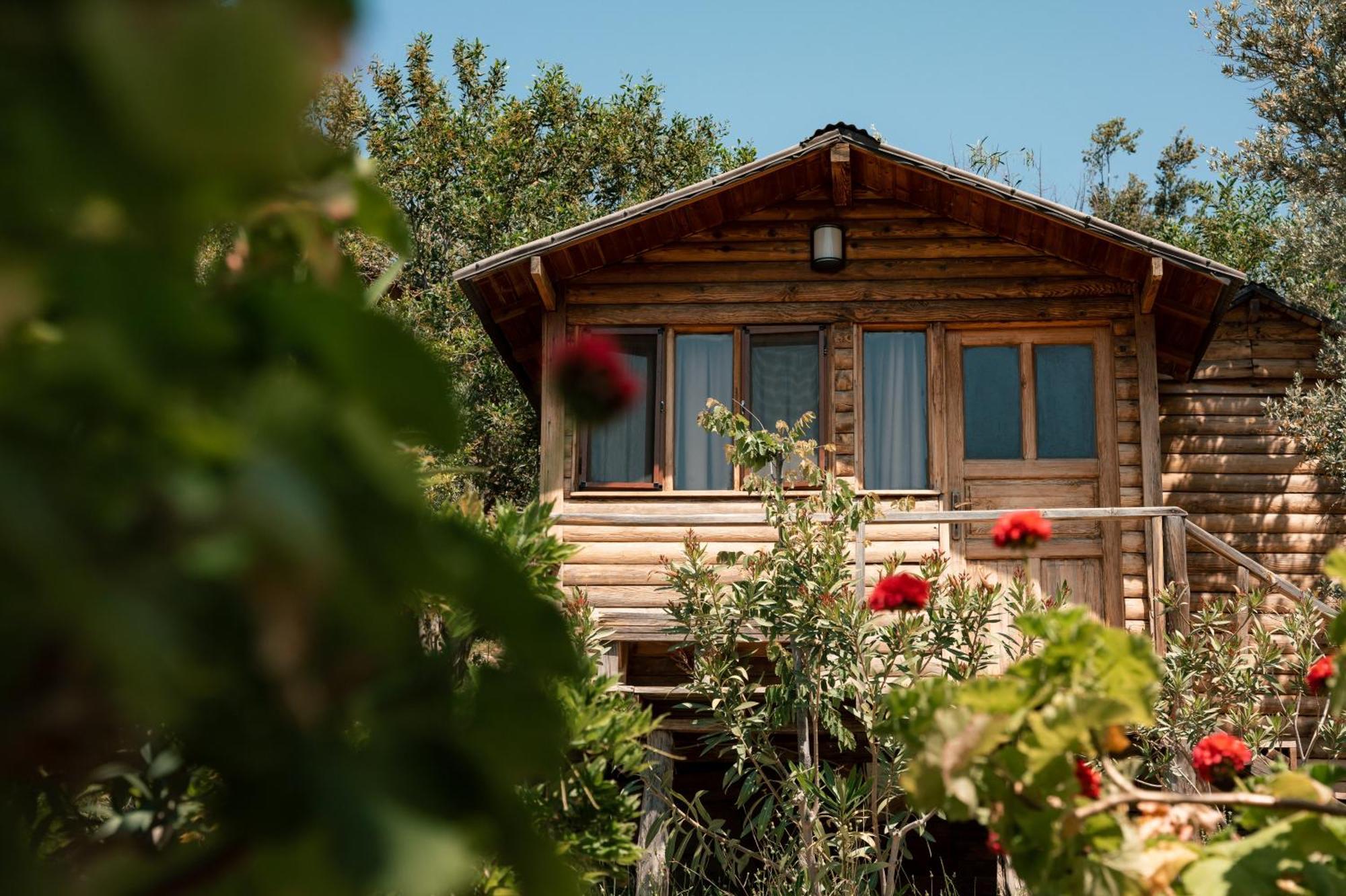 Olive Garden Kabak Vakantiepark Faralya