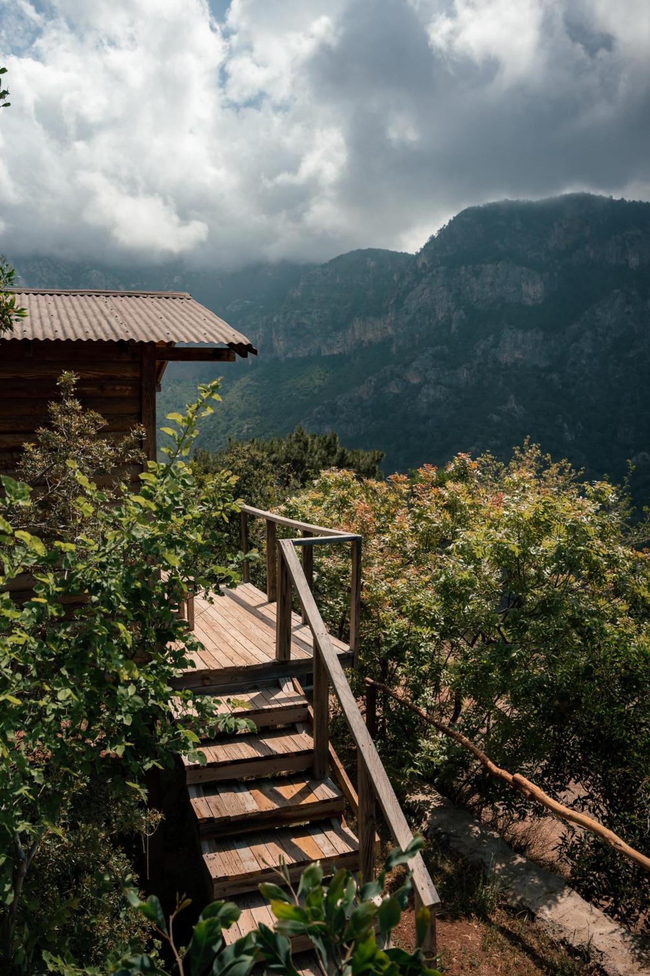 Olive Garden Kabak 2* Faralya