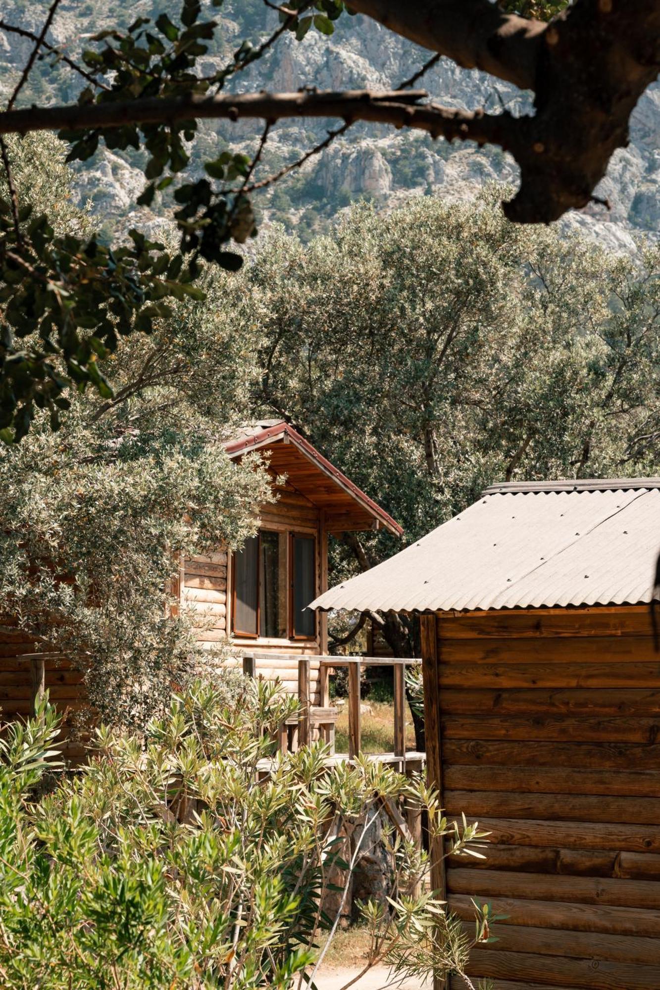 Vakantiepark Olive Garden Kabak Faralya