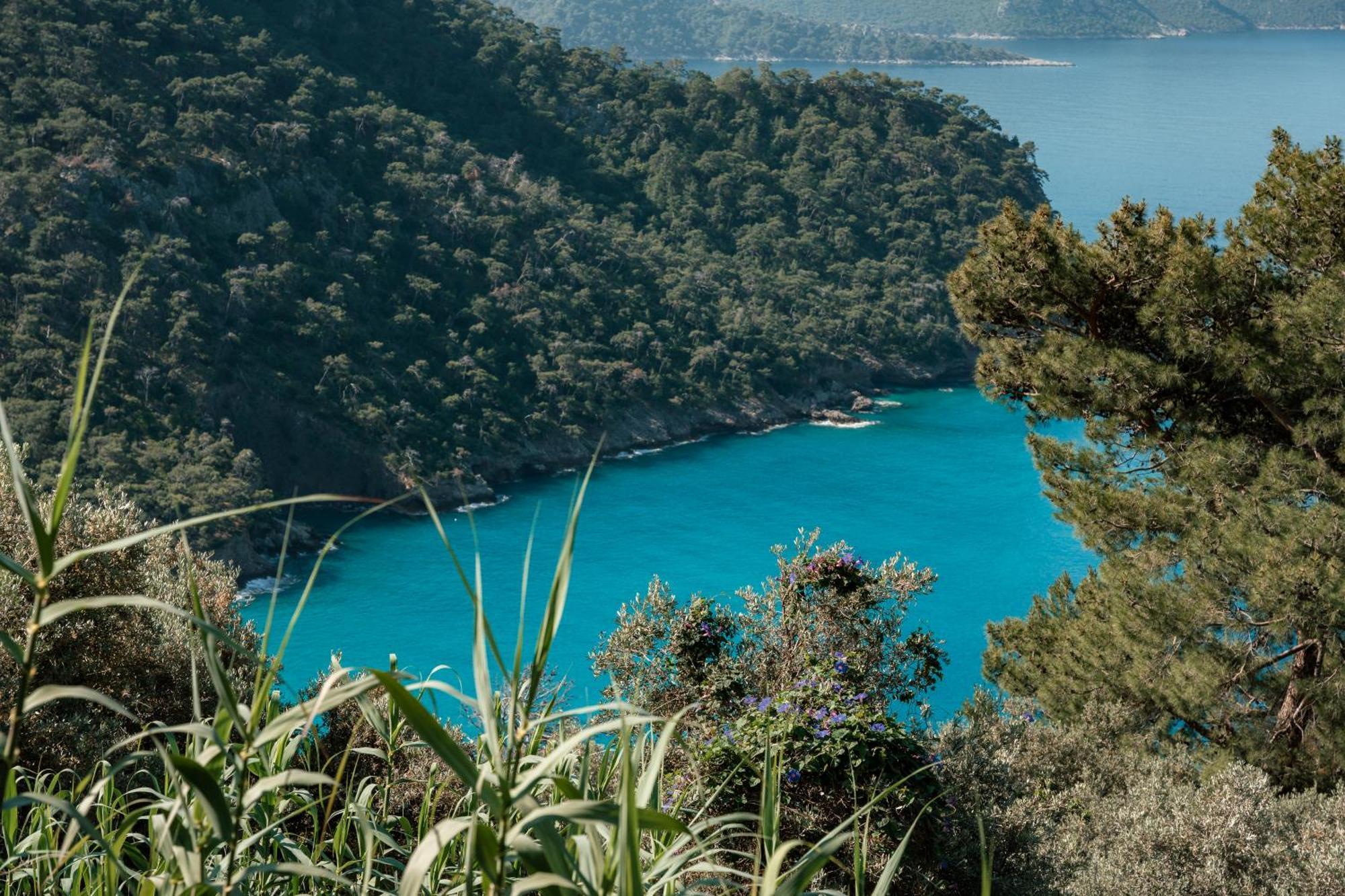 Olive Garden Kabak 2* Faralya